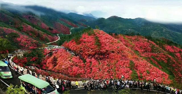 佛教闭关：独居修行，谢绝外缘