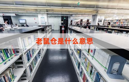 老鼠仓是什么意思？解析金融术语中的老鼠仓现象
