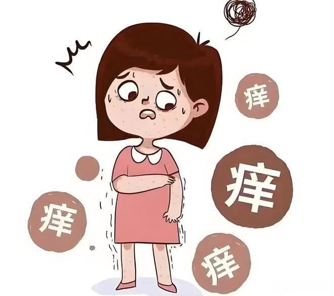 名老中医姚培发：皮肤瘙痒根治方——散风止痒汤