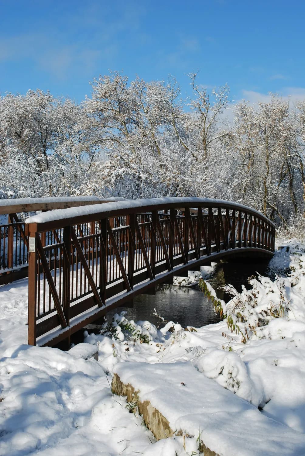 秋日打卡：杭州西湖与断桥残雪