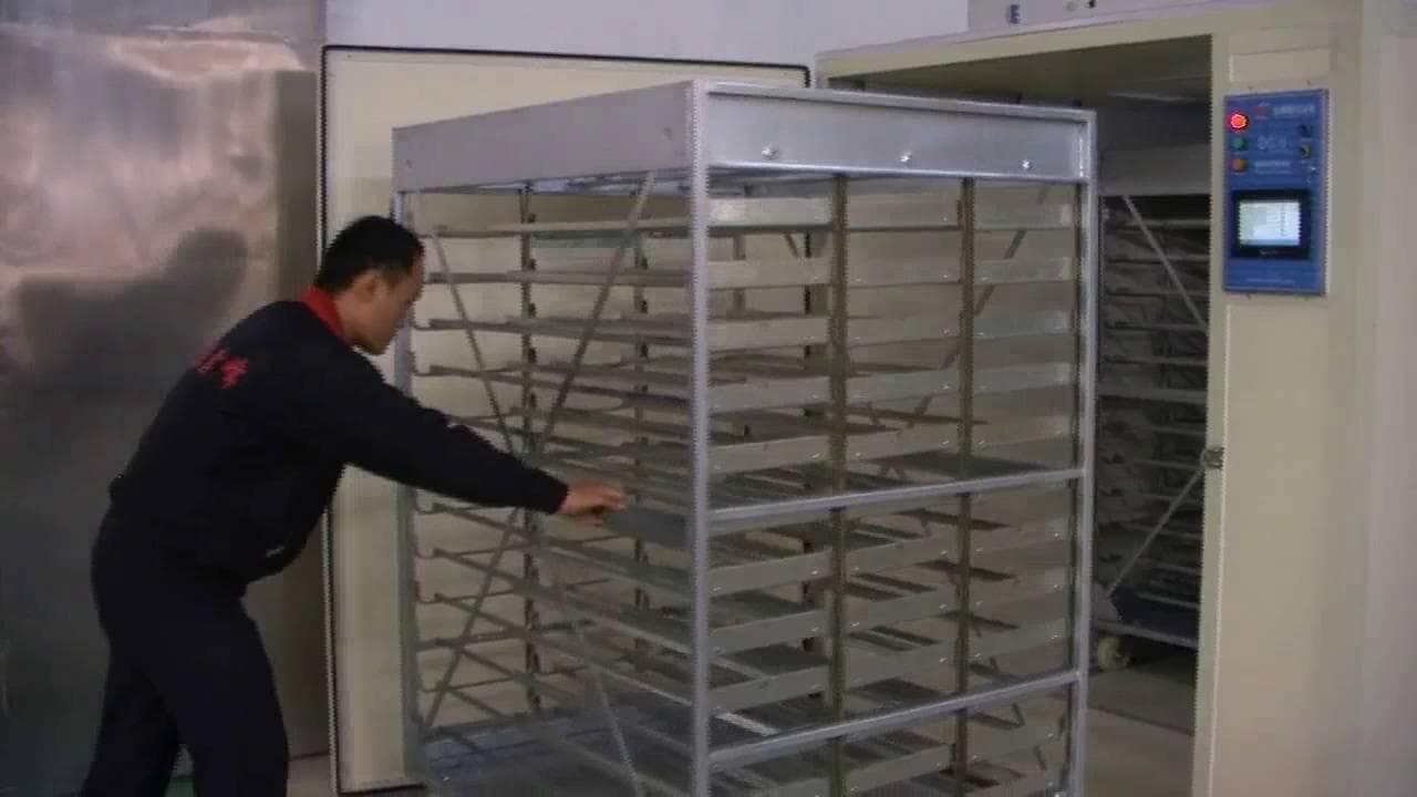 鸡蛋孵化器外贸如何做？