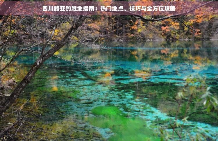 四川路亚钓胜地指南：热门地点、技巧与全方位攻略