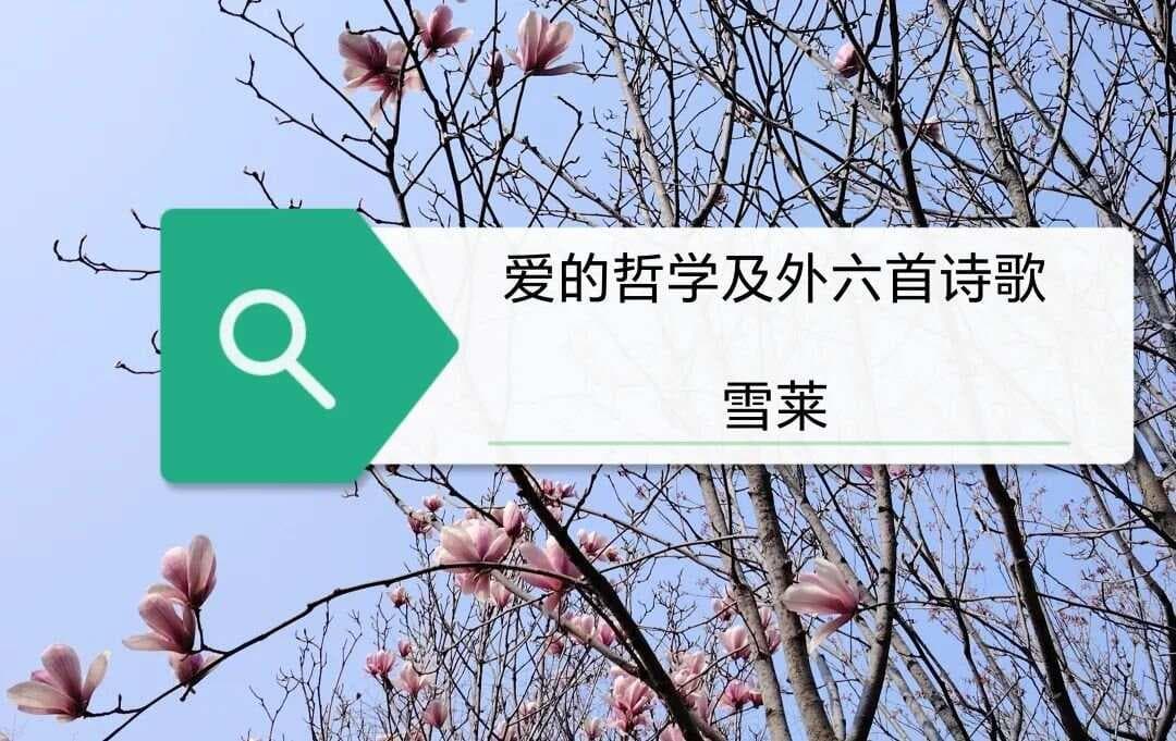<域外采撷>雪莱丨爱的哲学及外六首诗歌