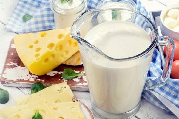 高热量高蛋白的食物有哪些？高脂肪高蛋白食物一览表