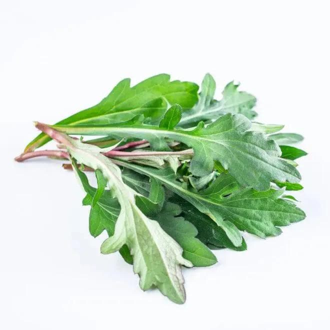 9 种春天必吃的蔬菜，只有南方人才懂