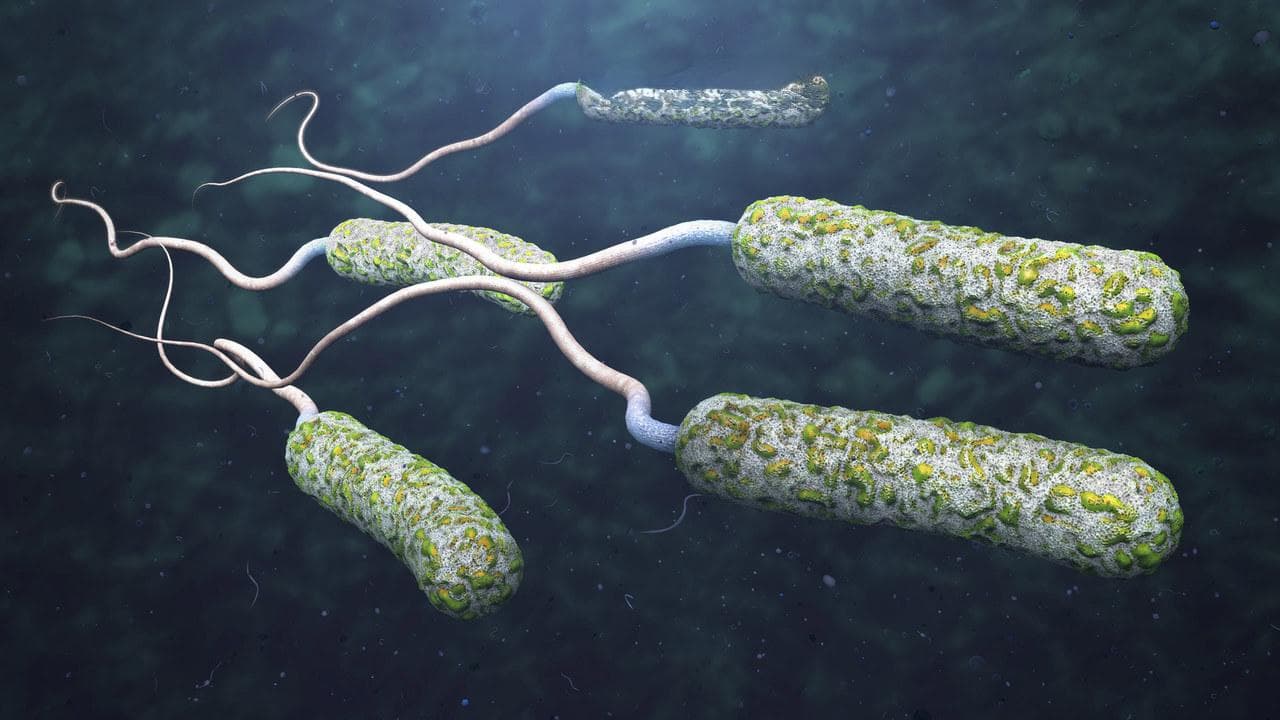 治疗艰难梭菌感染，这5种药物需遵医嘱