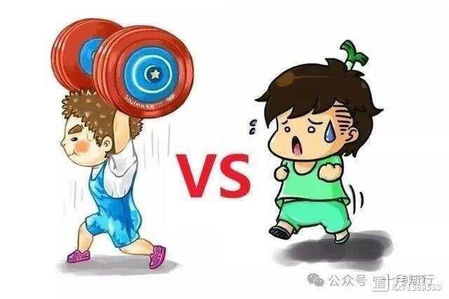 有氧运动和力量训练，哪个更减脂？又应如何安排？