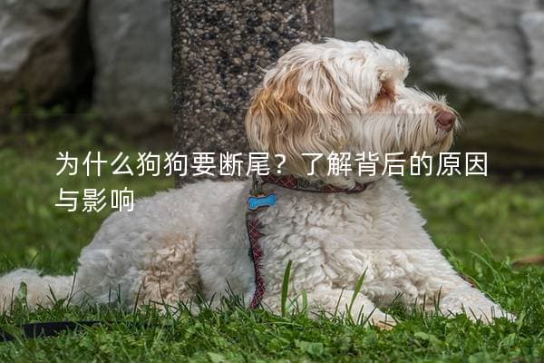 为什么狗狗要断尾？了解背后的原因与影响