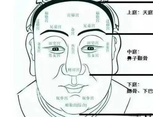 面相学，古老智慧与现代科学的碰撞