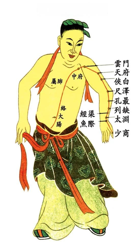 武侠小说里的中医知识：北冥神功