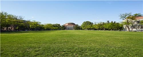 公办宠物专科学校排名榜，附哪些学校有宠物医学专业?