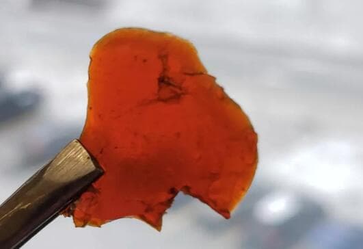 利用鱼废料制成，类似聚氨酯的可生物降解塑料