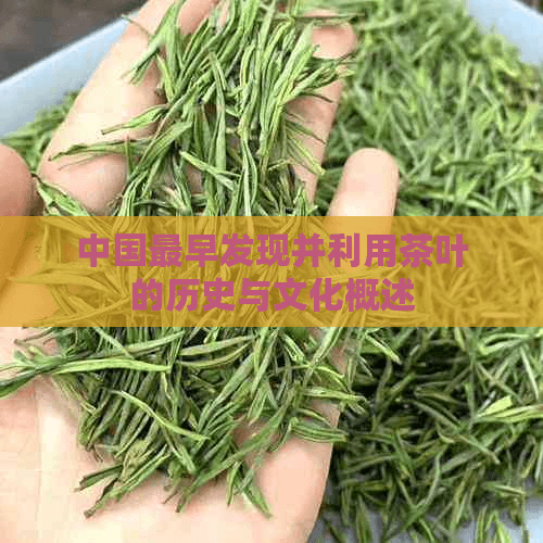 中国最早发现并利用茶叶的历史与文化概述