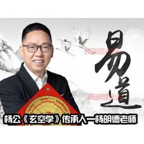 虎尾兰的风水禁忌，杨明德大师的实用心得