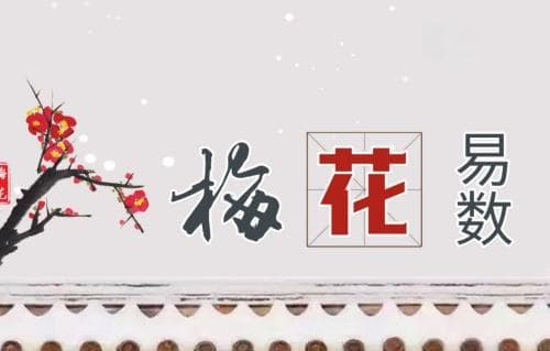 梅花易数解卦对照表