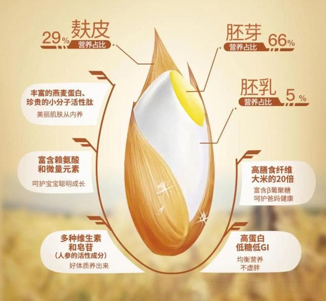揭秘健康大米：胚芽米的营养革命