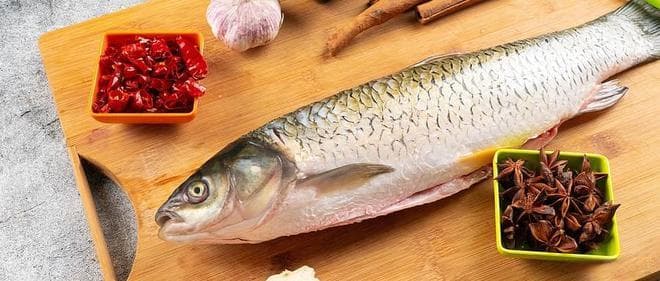 检测鱼肉中37种脂肪酸含量