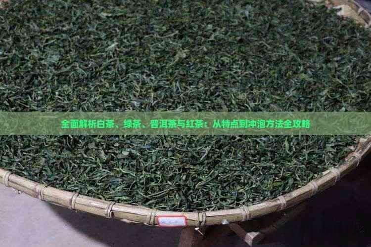 全面解析白茶、绿茶、普洱茶与红茶：从特点到冲泡方法全攻略