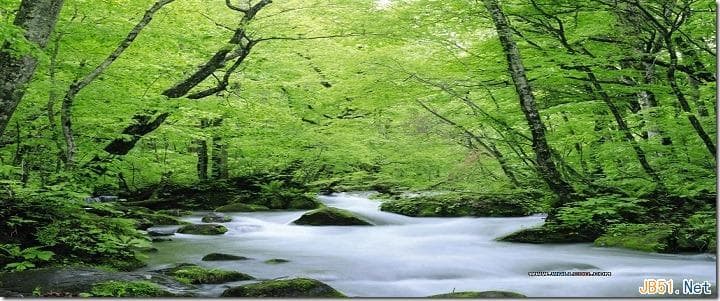C/S和B/S两种架构的概念、区别和联系