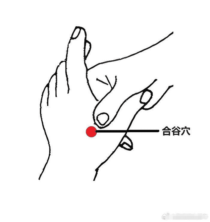 合谷穴的作用和功效是什么