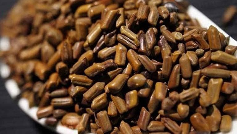 生决明子和熟决明子的区别
