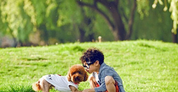 幼犬心理健康指南：15个关键养护要点