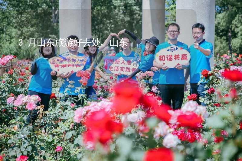 3月山东旅游好去处，山东春天最美的10个景点