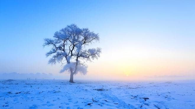 霜雪绘卷·寒冬韵律：《七律 寒冬》赏析