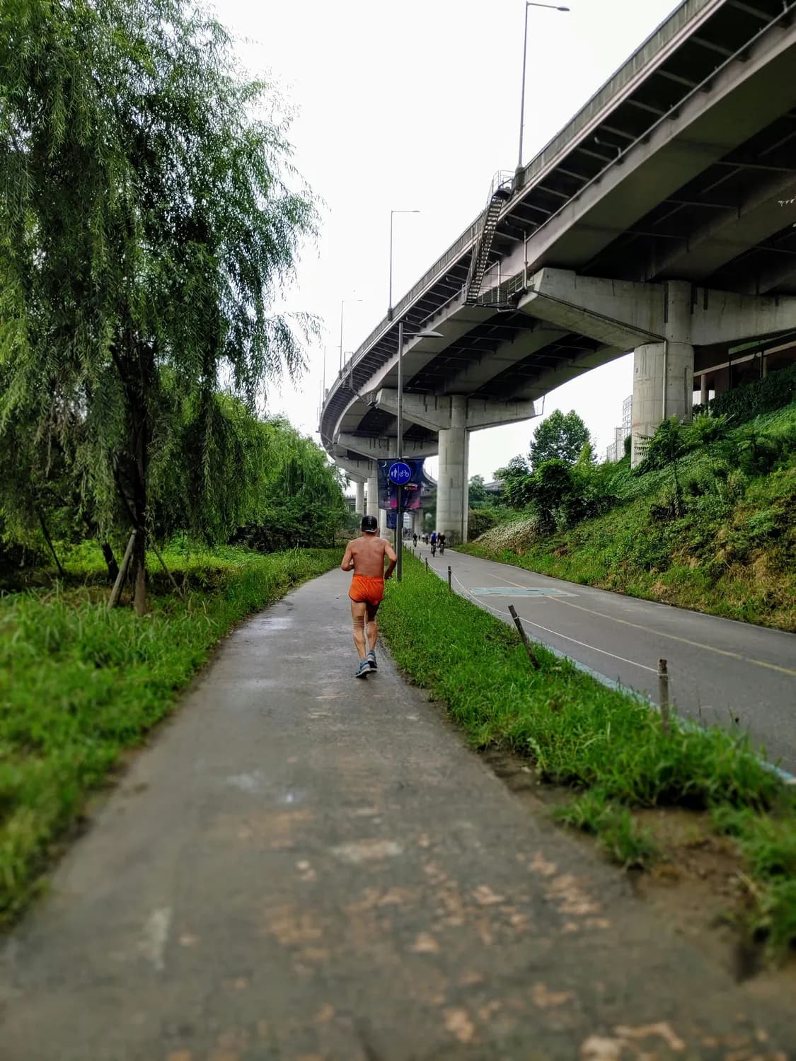 马拉松赛道上的趣味瞬间：从10岁"陪跑者"到选手们的"集体懵圈"