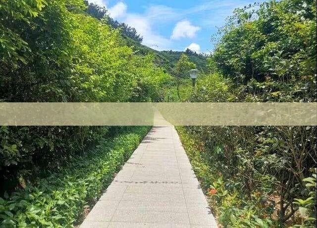 冬季大理游：揭秘大理冬日防晒攻略及近期旅游实况