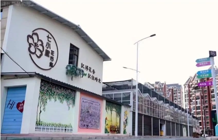 来汉中，漫步特色街区，共赴油菜花的金色之约