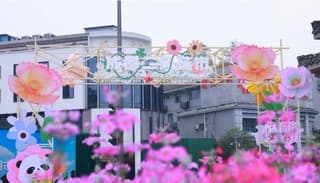 玩出新“花”样，成都春日“追花攻略”来了