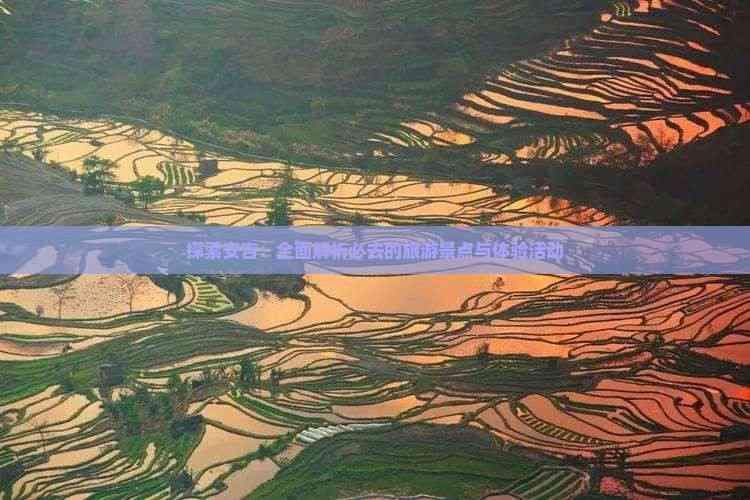 探索安吉：全面解析必去的旅游景点与体验活动