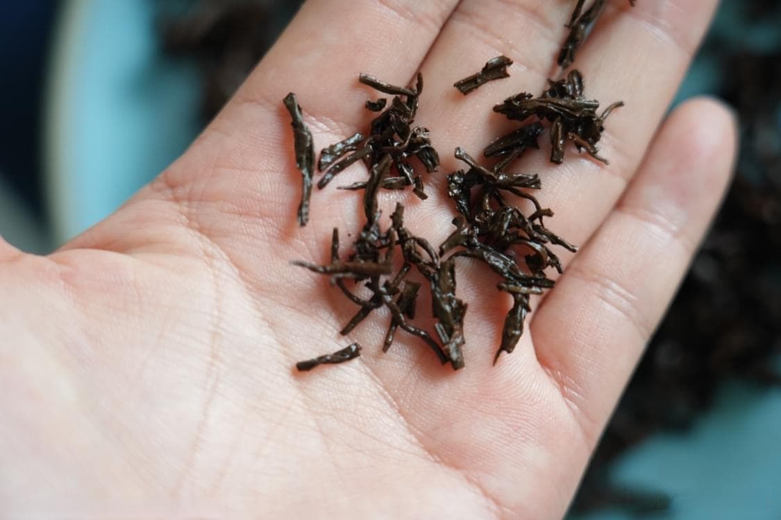 山海世庐 | 如何用茶叶渣制作肥料？