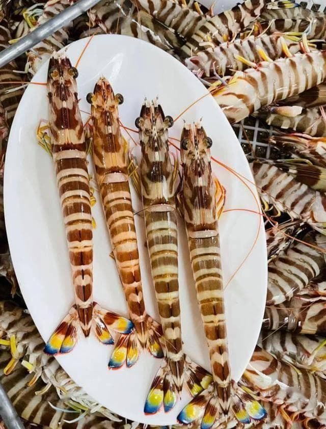 河虾海虾最大区别是什么？盘点餐桌常见7种虾，买虾不上当