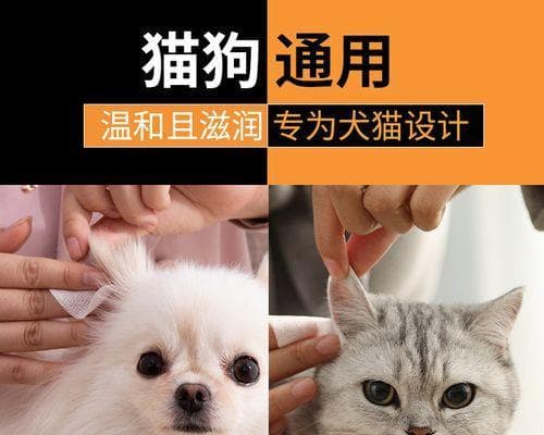 猫咪耳朵烂了怎么办（宠物猫咪的耳朵保健及治疗方法）