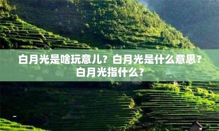 白月光：一个文化符号的多重解读