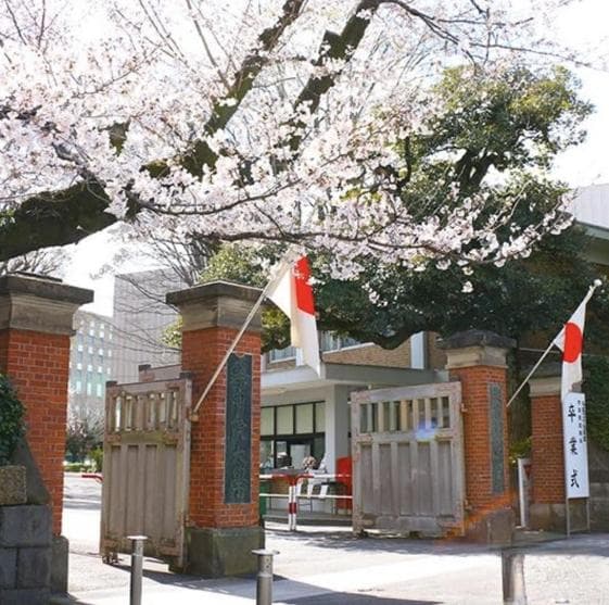 日语专业本科生赴日留学的四大最佳专业推荐