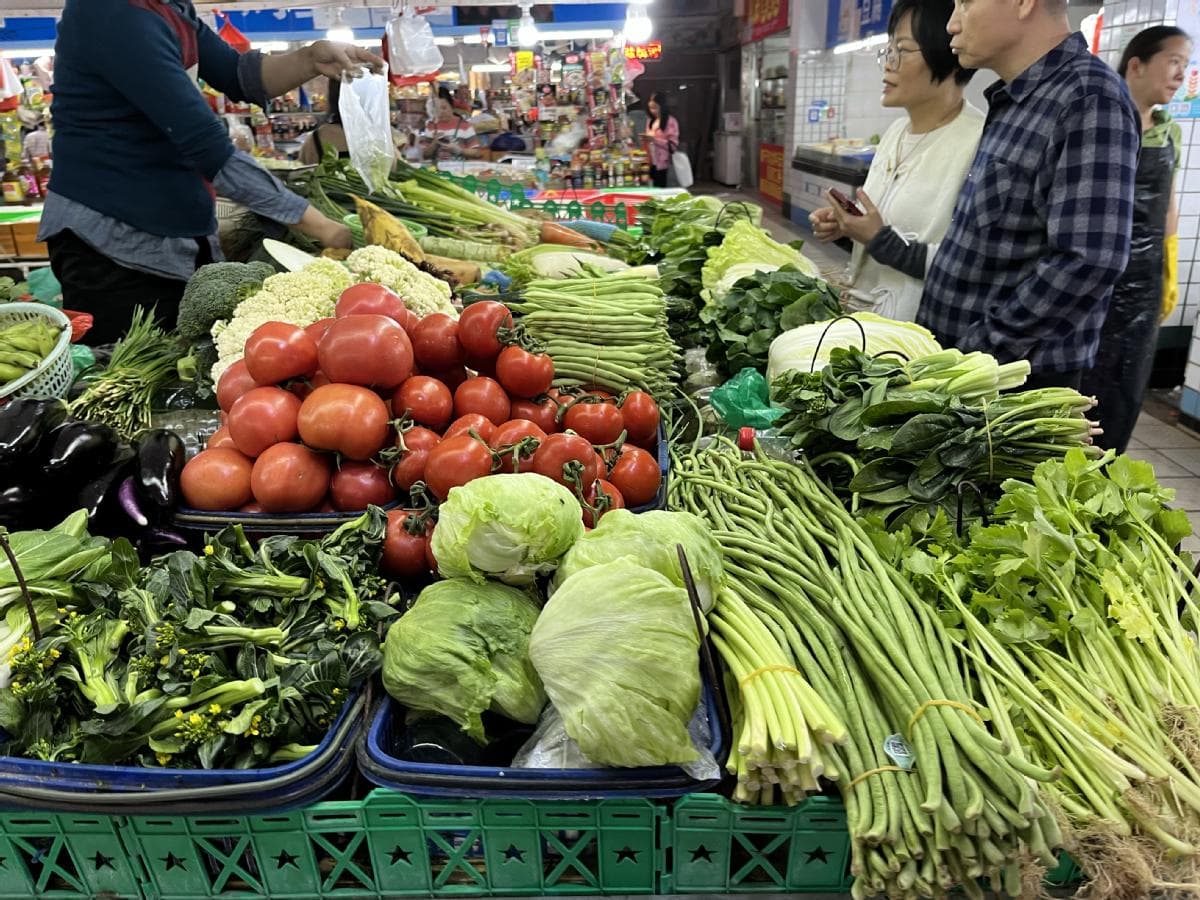 品味舌尖上的“春日美食”，珠海寻鲜正当时