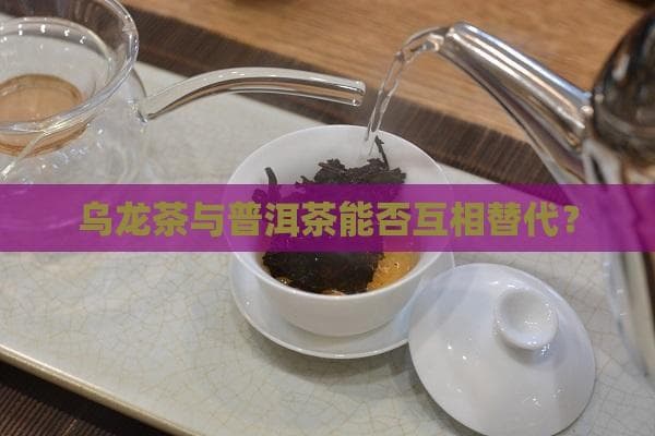 乌龙茶与普洱茶能否互相替代？