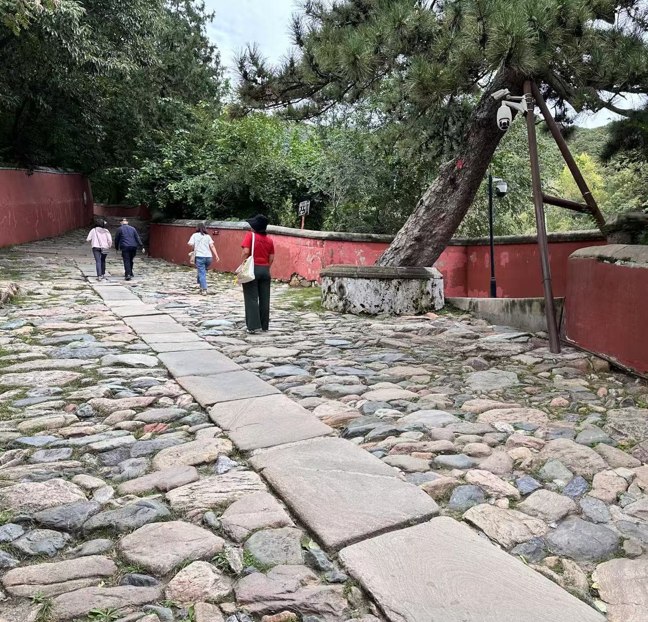 摆渡车几百米收费10元 景区内没有无障碍通道 潭柘寺景区服务设施待完善