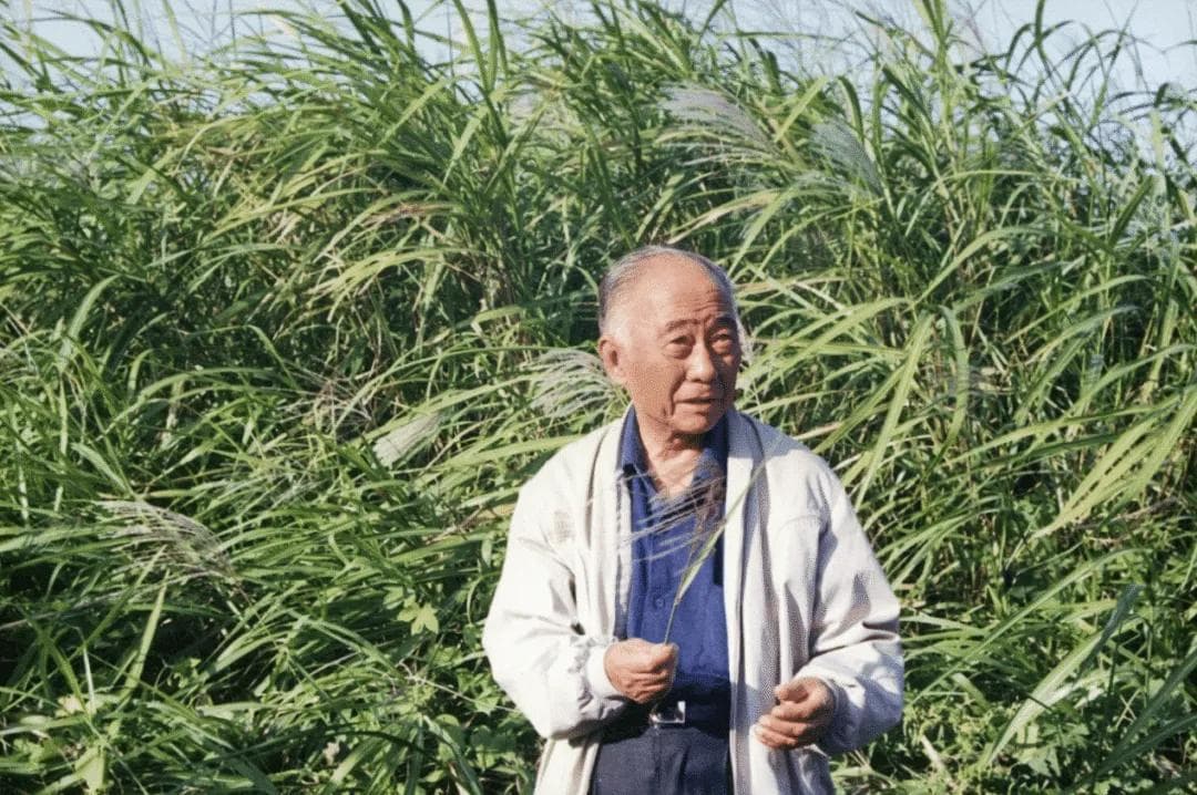 已识乾坤大，犹怜草木青 | 汪曾祺先生，105岁了