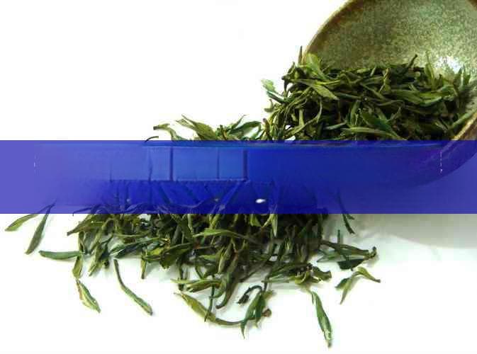 揭秘冰岛古树茶的源起与传奇历史：探寻千年茶韵传承