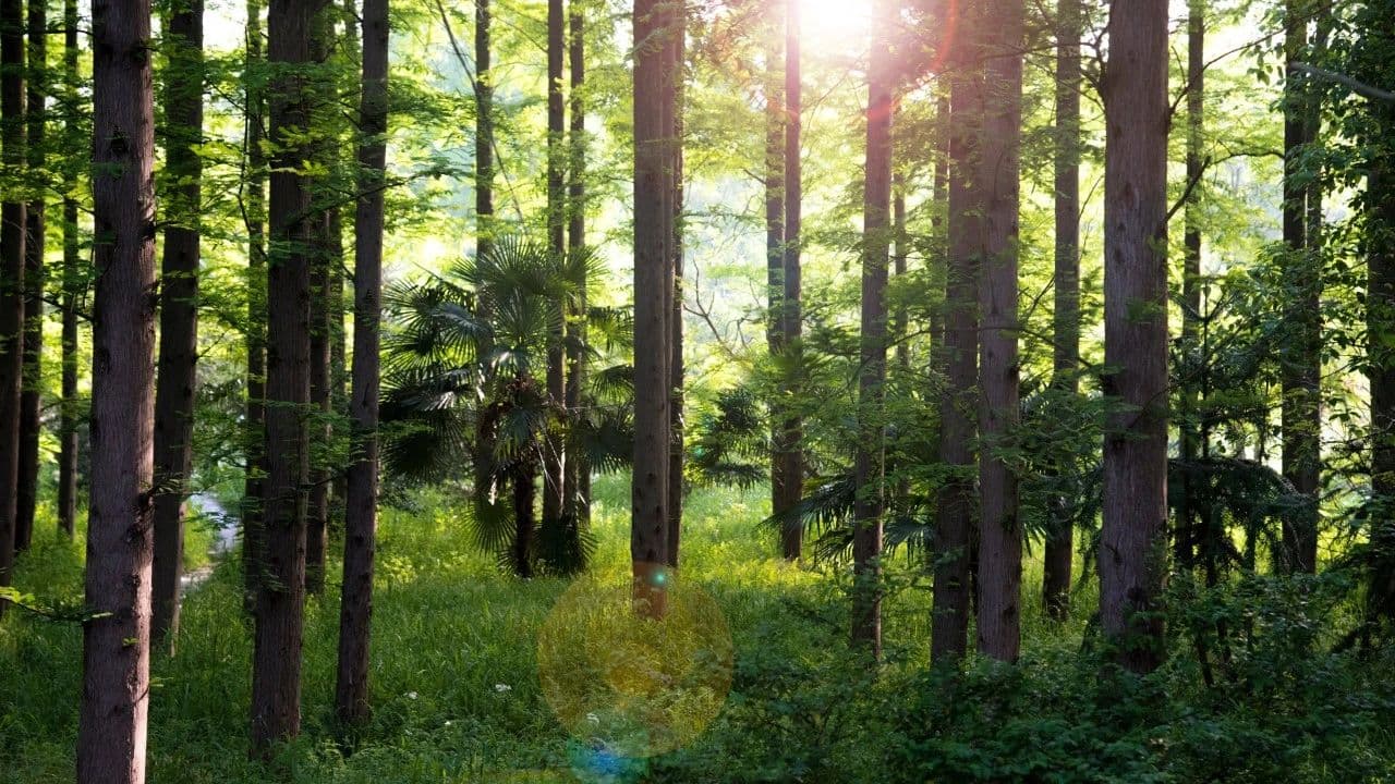 人生战略，须晦养厚积