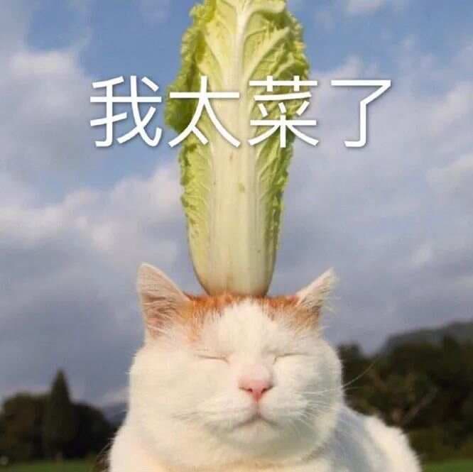 这个路口到底能不能掉头？看完这篇你就明白！