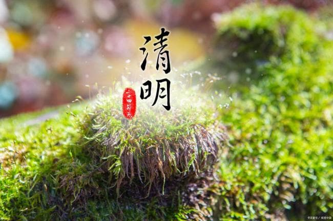 今年清明是“闭日” 上坟扫墓有讲究 最佳时间与禁忌解析