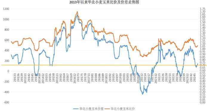小麦玉米比价1.06成关键，2024年新麦市场平稳运行