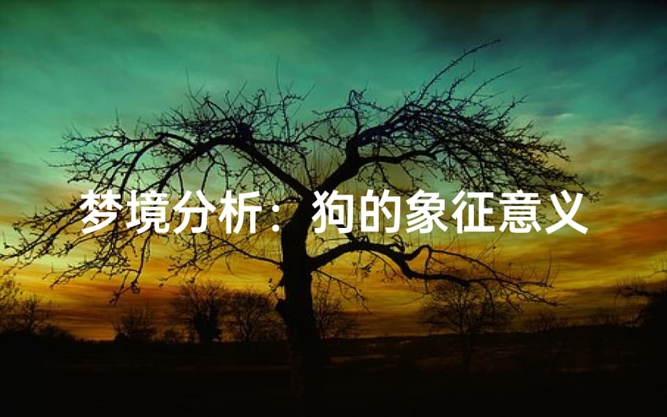 梦境分析：狗的象征意义与周公解梦