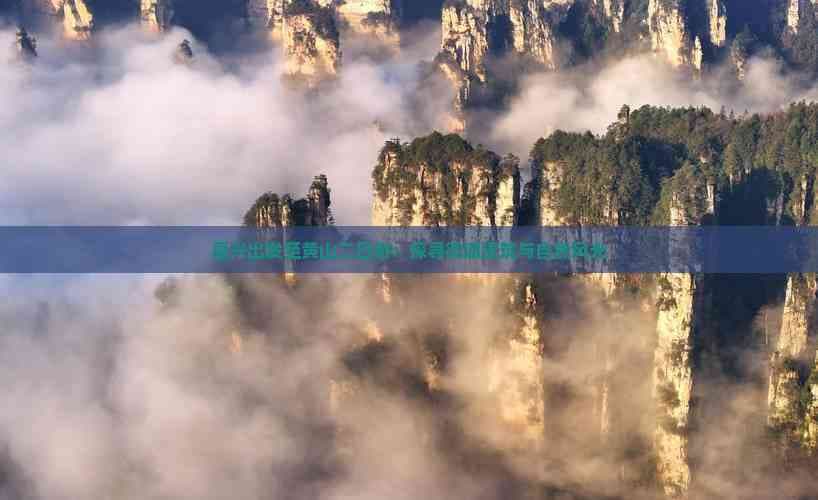 嘉兴出发至黄山二日游：探寻徽派建筑与自然风光