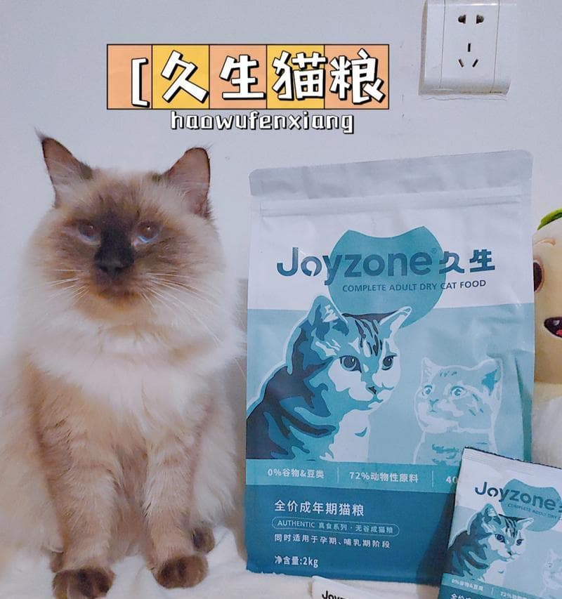 没有猫粮怎么办？15个实用方案确保小猫健康成长